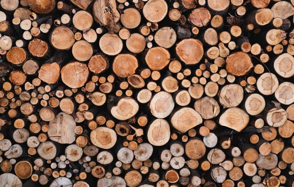 Colors, wood, pattern