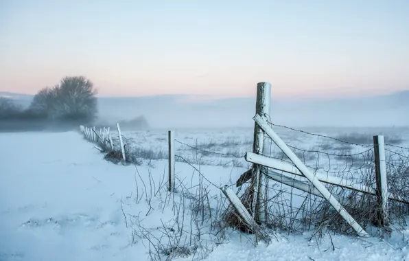 Picture field, snow, landscape, fog, the fence, morning