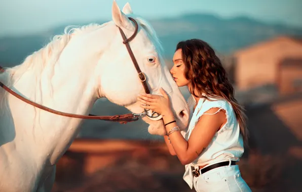 Picture white, girl, light, nature, pose, each, horse, horse