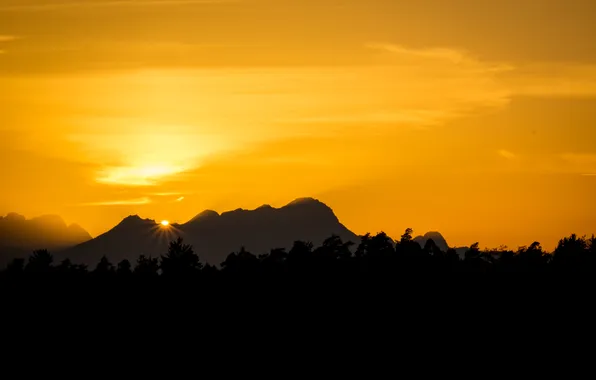 Forest, the sky, clouds, sunset, mountains, silhouette, yellow sunlight