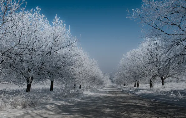 Winter, road, the sky, trees, Snow, frost