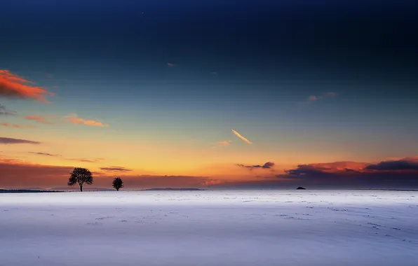 Winter, field, sunset