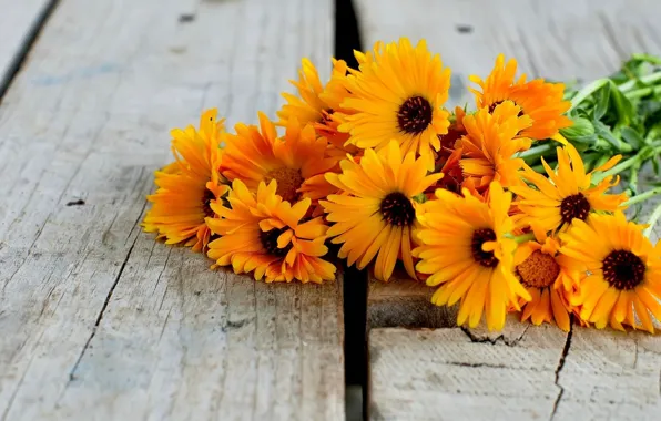 Board, bouquet, calendula