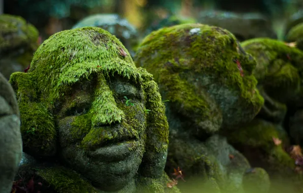 Picture background, moss, head