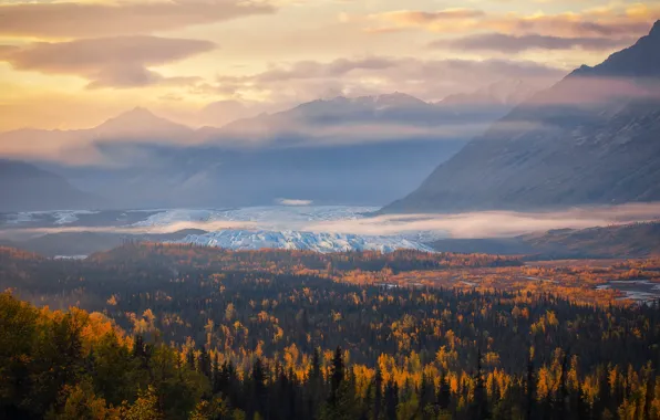 Picture ice, autumn, forest, clouds, mountains, fog, view, height