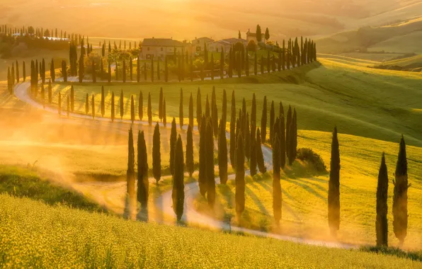 Light, fog, field, morning, Italy, meadows, Tuscany