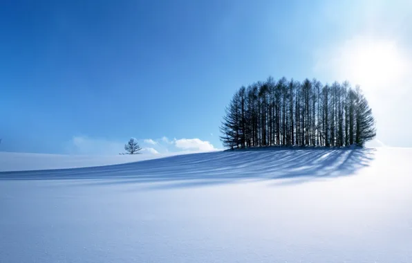 Road, sky, trees, blue, winter, mountain, snow, sun