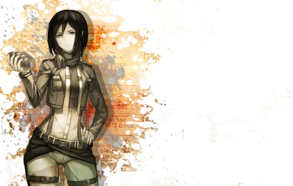 Picture girl, Attack on Titan, attack of the titans, Mikasa, Mikasa