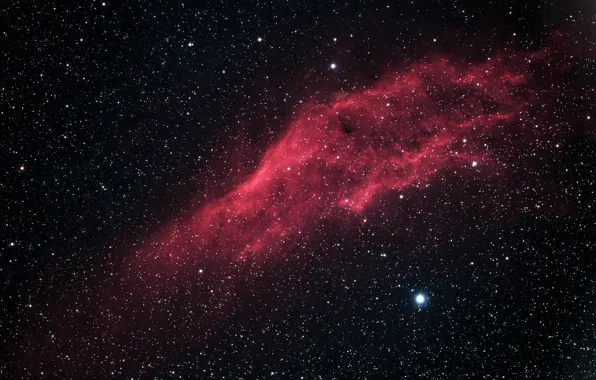 Picture Percy, in the constellation, California Nebula, The California Nebula