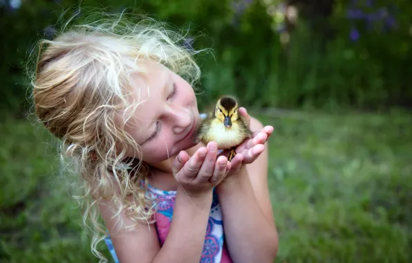 Picture nature, mood, duck, girl