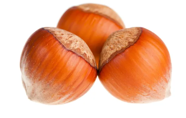 Macro, nuts, hazelnuts