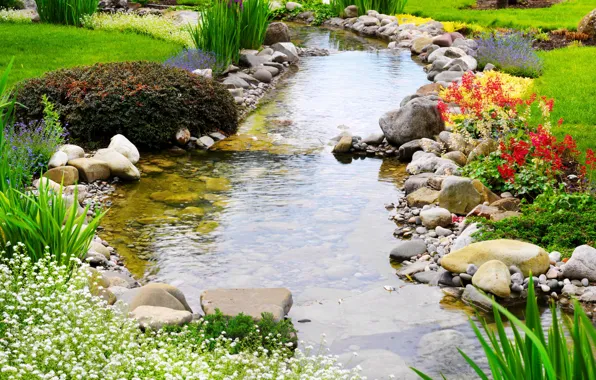 Greens, grass, flowers, Park, stream, stones, lawn