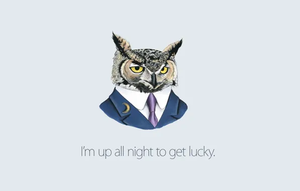 Picture background, Owl, costume, tie, Daft Punk