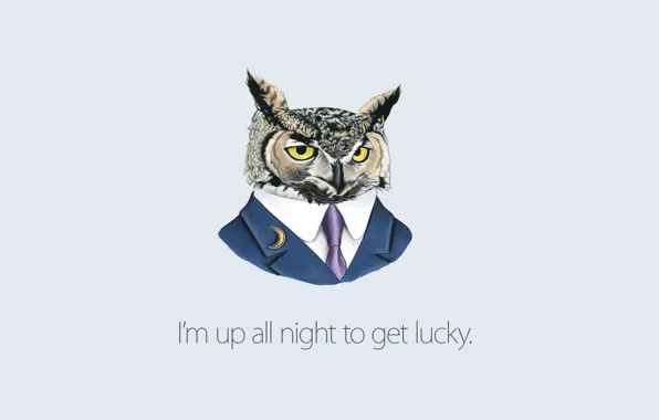 Background, owl, costume, tie, Daft Punk