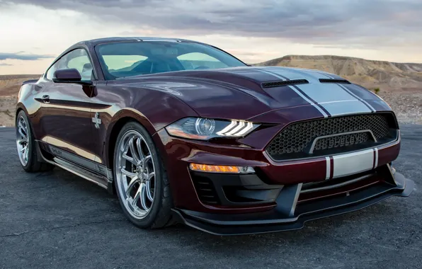 Shelby, mustang, ford, 2018, Super Snake