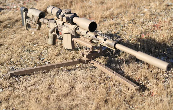 Picture sight, rifle, muffler, sniper, Remington