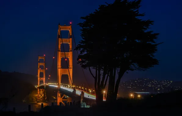Night, bridge, lights, tree, CA, San Francisco, Golden Gate, Golden Gate Bridge