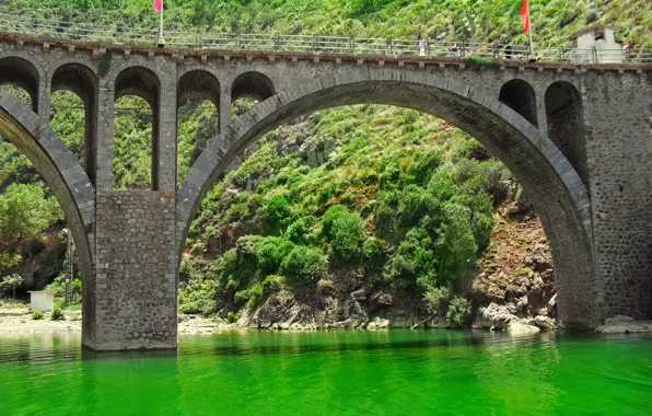 Picture greens, bridge, lake, green, bridge, Lake