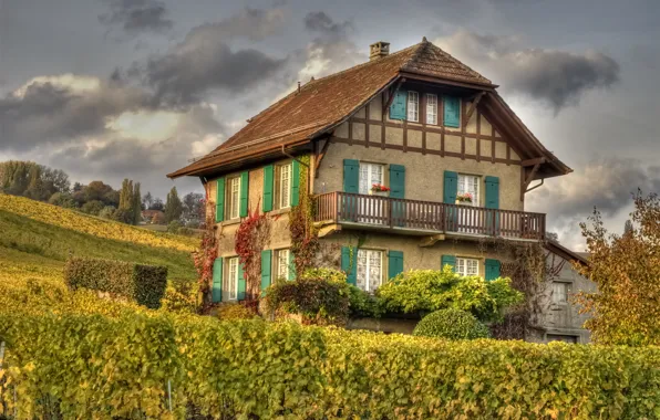Picture autumn, nature, house, vineyard, house, Nature, autumn, fall