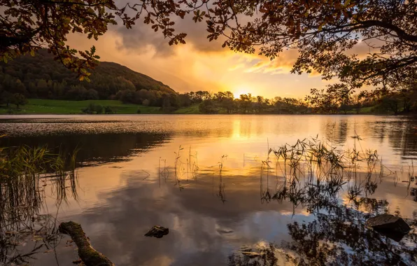 Sunset, nature, lake