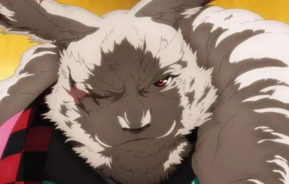 Game, rabbit, anime, boy, boss, asian, player, manga