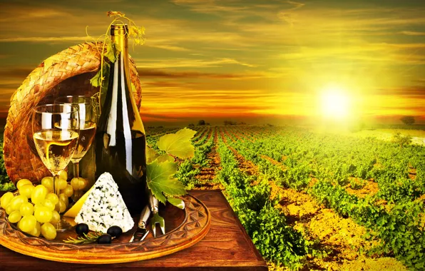 The sun, wine, white, bottle, cheese, glasses, grapes, vineyard