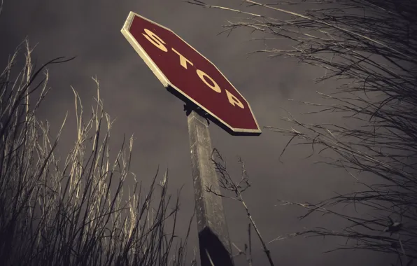 Wallpaper background, sign, stop for mobile and desktop, section разное