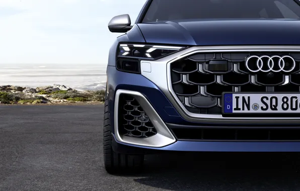 Picture Audi, close-up, front, grille, SQ8, Audi SQ8 TFSI