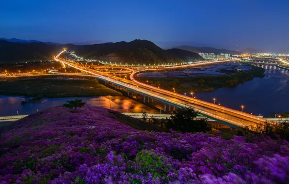 Road, flowers, night, bridge, the city, lights, river, hills