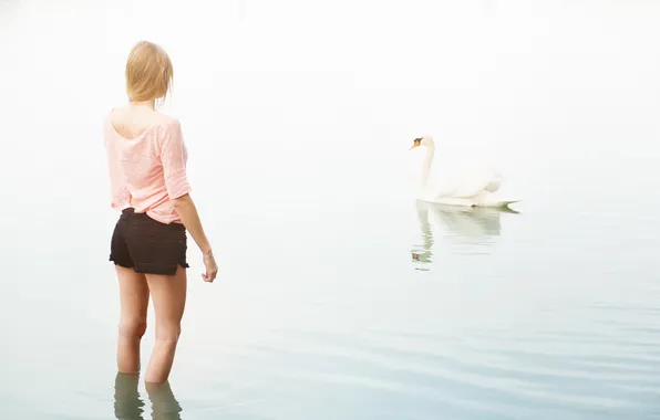 Picture girl, lake, mood, Swan
