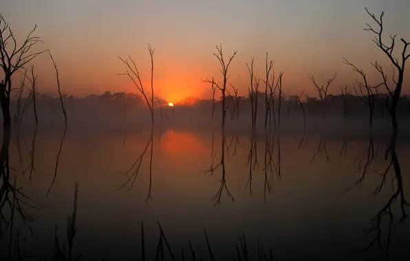 Picture the sky, the sun, trees, sunset, lake