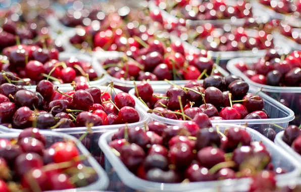 Light, cherry, lights, berries, Shine, food, blur, harvest