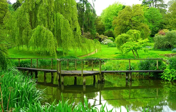 Picture summer, trees, Park, river, England, the bridge, trees, park
