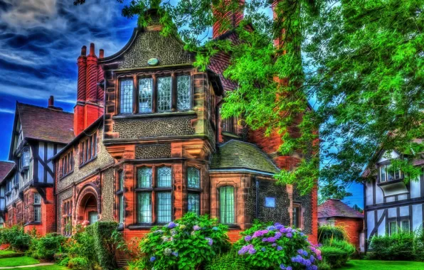 Flowers, England, HDR, mansion, England, Houses, Bebington