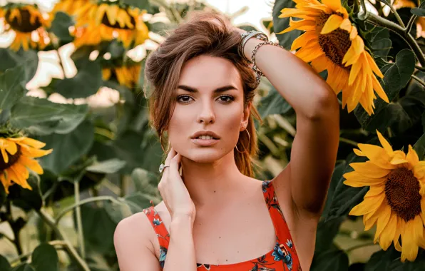 Picture look, sunflowers, face, hands, Catherine, Eugene Marklew