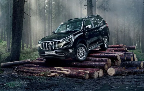Japan, Forest, Light, Check, Land Cruiser, Prado, Haze, Logs