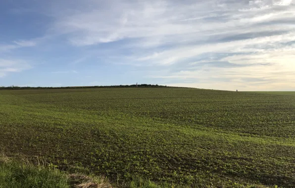 The sky, Clouds, Field, Grass