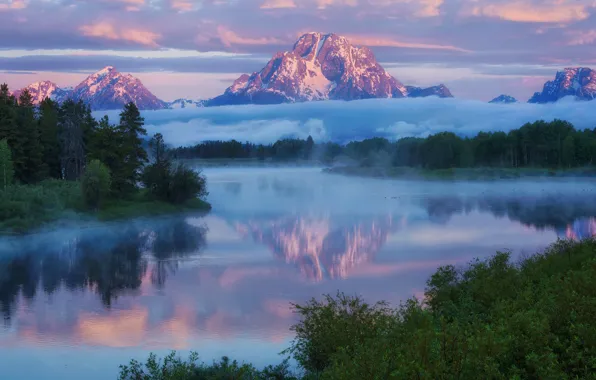 Picture forest, mountains, river, morning, USA