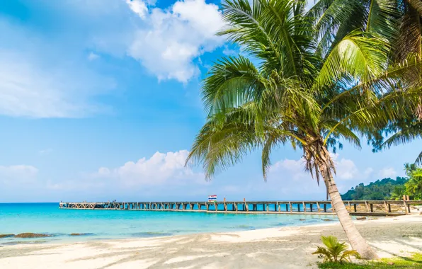Landscape, nature, Sea, Beach, Summer, Tropics, Palm trees, blue water