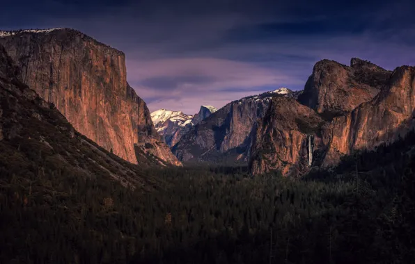 Forest, trees, valley, CA, California, Yosemite national Park, Yosemite National Park, the Sierra Nevada