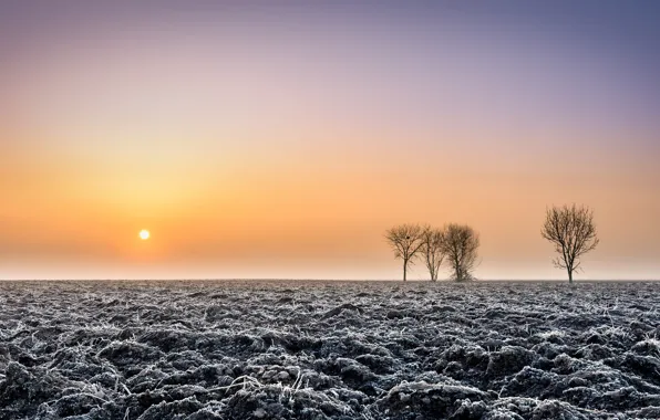 Winter, sunset, earth
