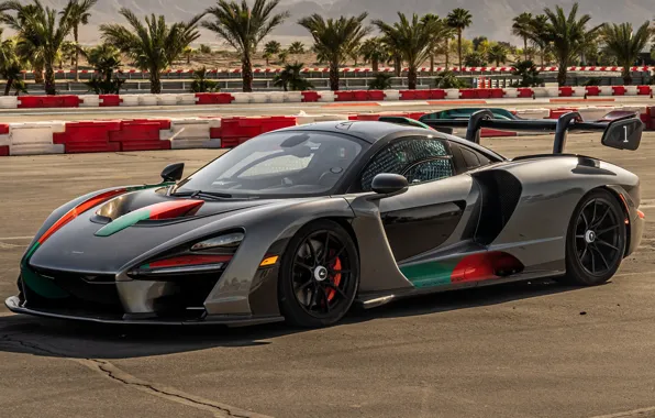 McLaren, exterior, Senna, 2022, Absolute Triumph, XP El