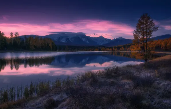 Forest, the sky, sunset, mountains, river, Altay