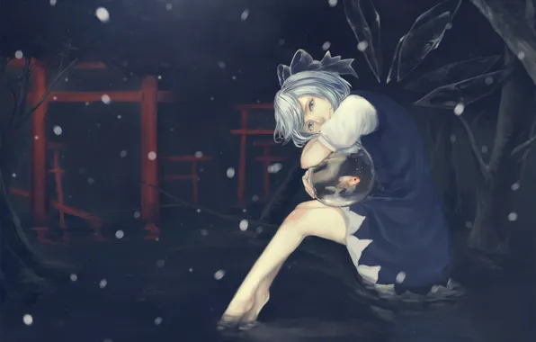 Sadness, water, girl, snow, night, aquarium, wings, fish