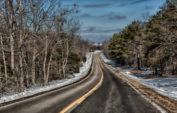 Winter, road, trees