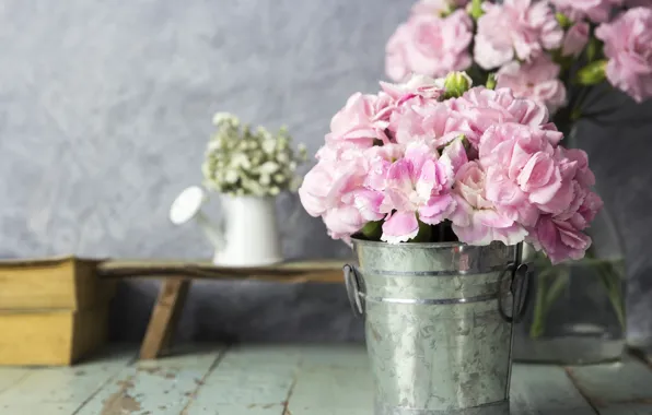 Picture flowers, petals, bucket, pink, vintage, wood, pink, flowers