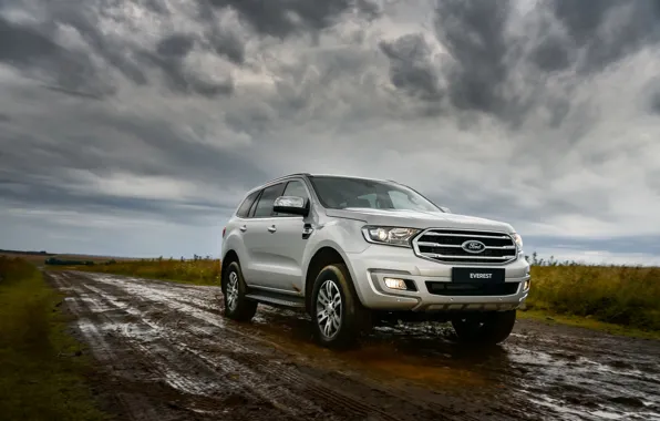 Picture Ford, dirt, dampness, Everest, 4WD, XLT, 2019