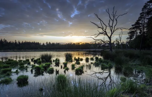 Picture nature, lake, the evening