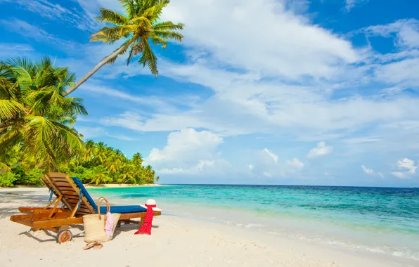 Picture sea, beach, tropics, palm trees, stay