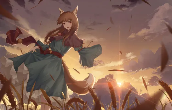 Field, girl, sunset, the wind, Spice and Wolf, Holo, Spice And Wolf